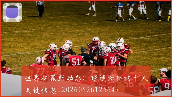 世界杯最新动态:球迷必知的十大关键信息_20260526125647