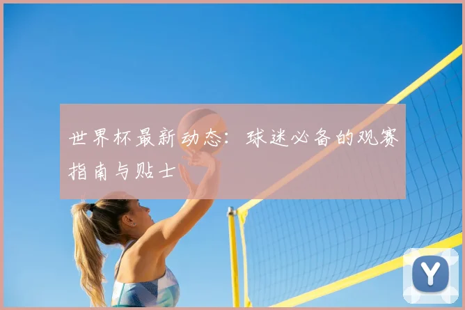 世界杯最新动态：球迷必备的观赛指南与贴士