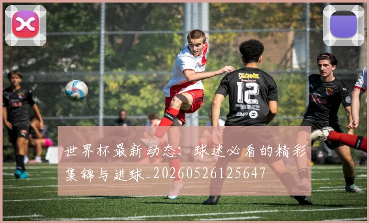 世界杯最新动态：球迷必看的精彩集锦与进球_20260526125647
